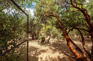 55370 Silver Tip Ln, Idyllwild, CA 92549 - Photo 60