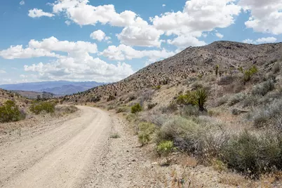 58365 Cereus Avenue, Yucca Valley, CA 92284 - Photo 6