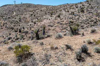 58365 Cereus Avenue, Yucca Valley, CA 92284 - Photo 8