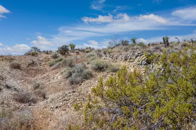 58365 Cereus Avenue, Yucca Valley, CA 92284 - Photo 18