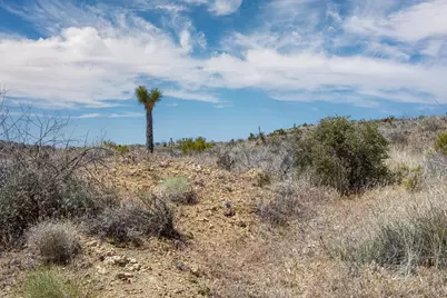 58365 Cereus Avenue, Yucca Valley, CA 92284 - Photo 2