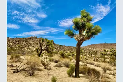 104 Bandera Road, Yucca Valley, CA 92284 - Photo 14