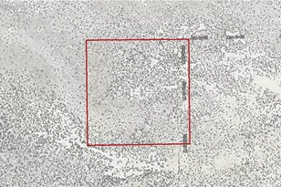37th Street West & Ave D12, Lancaster, CA 93536 - Photo 1