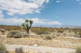 7382 Olympic Rd, Joshua Tree, CA 92252 - Photo 30