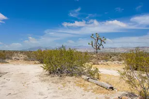 7382 Olympic Rd, Joshua Tree, CA 92252 - Photo 22
