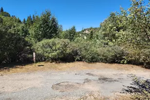 522 Elder Dr, Cedar Glen, CA 92321 - Photo 1