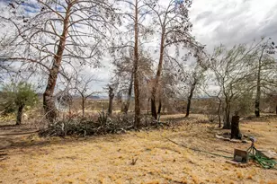 1959 Yetters Ln, Landers, CA 92285 - Photo 18