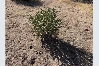 0- Apn#0597-161-03-0000 Sage Avenue, Yucca Valley, CA 92284 - Photo 8