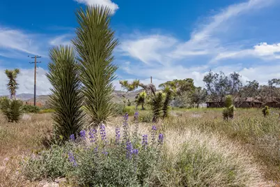 129 Annie Oakley, Pioneertown, CA 92268 - Photo 6