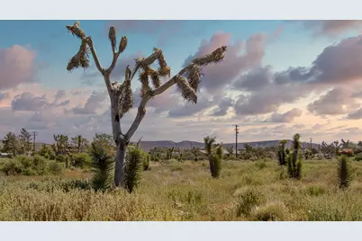 129 Annie Oakley, Pioneertown, CA 92268 - Photo 2
