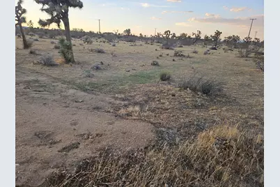 010 Yucca Mesa Road, Yucca Valley, CA 92284 - Photo 6