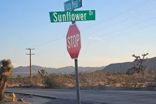 010 Yucca Mesa Rd, Yucca Valley, CA 92284 - Photo 1