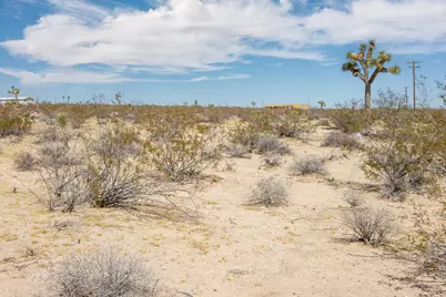 2834 Border Road, Joshua Tree, CA 92252 - Photo 4