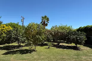 33330 Whispering Palms Trail, Cathedral City, CA 92234 - Photo 42