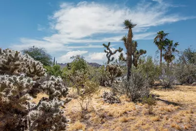 6673 Hillview Road, Joshua Tree, CA 92252 - Photo 36