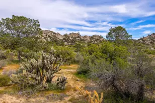 70089 Sonora Rd, Mountain Center, CA 92561 - Photo 52