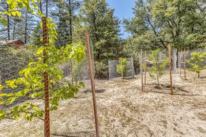 54425 Jameson Drive, Idyllwild, CA 92549 - Photo 84