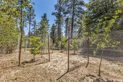 54425 Jameson Drive, Idyllwild, CA 92549 - Photo 82