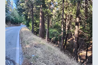 0 Hook Creek (Multiple Lots) Road, Cedar Glen, CA 92321 - Photo 4