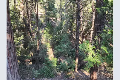 0 Hook Creek (Multiple Lots) Road, Cedar Glen, CA 92321 - Photo 10