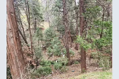 0 Hook Creek (Multiple Lots) Road, Cedar Glen, CA 92321 - Photo 8
