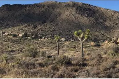 101 Hondo Street, Pioneertown, CA 92268 - Photo 10