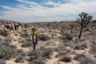 101 Hondo St, Pioneertown, CA 92268 - Photo 1
