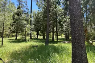 0 Tollgate Rd, Idyllwild, CA 92549 - Photo 1