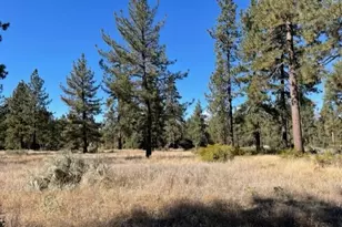 Lot 18 Pyramid Peak Rd, Mountain Center, CA 92561 - Photo 1