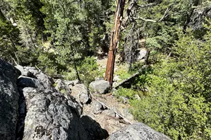 0 Forest Route 4S02, Idyllwild, CA 92549 - Photo 1