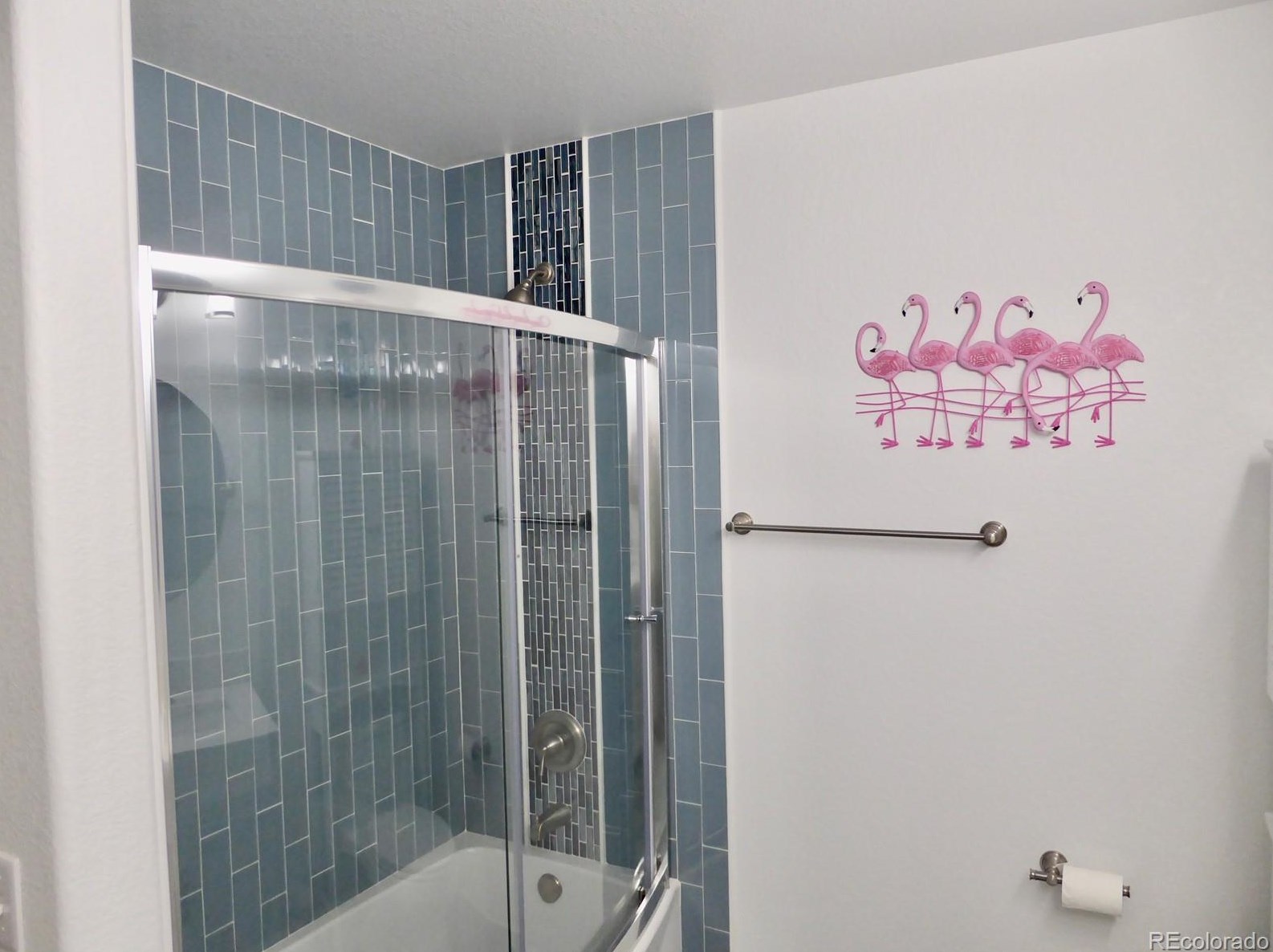 1663 Marsh Hawk Cir, Castle Rock CO  80109-9593 exterior