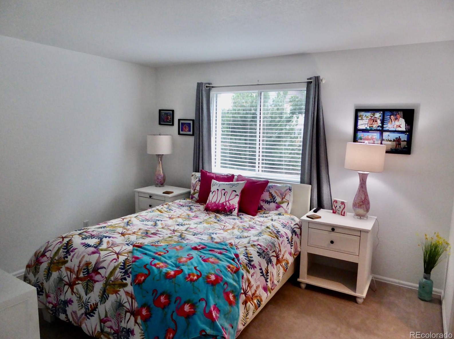 1663 Marsh Hawk Cir, Castle Rock CO  80109-9593 exterior