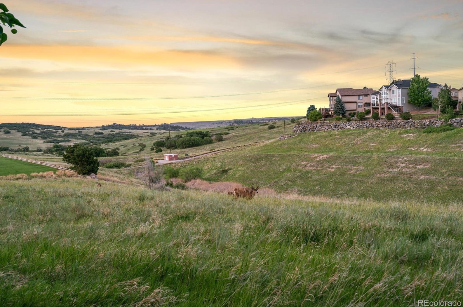 12420 Turquoise Terrace St, Castle Rock CO 80108-8150 exterior