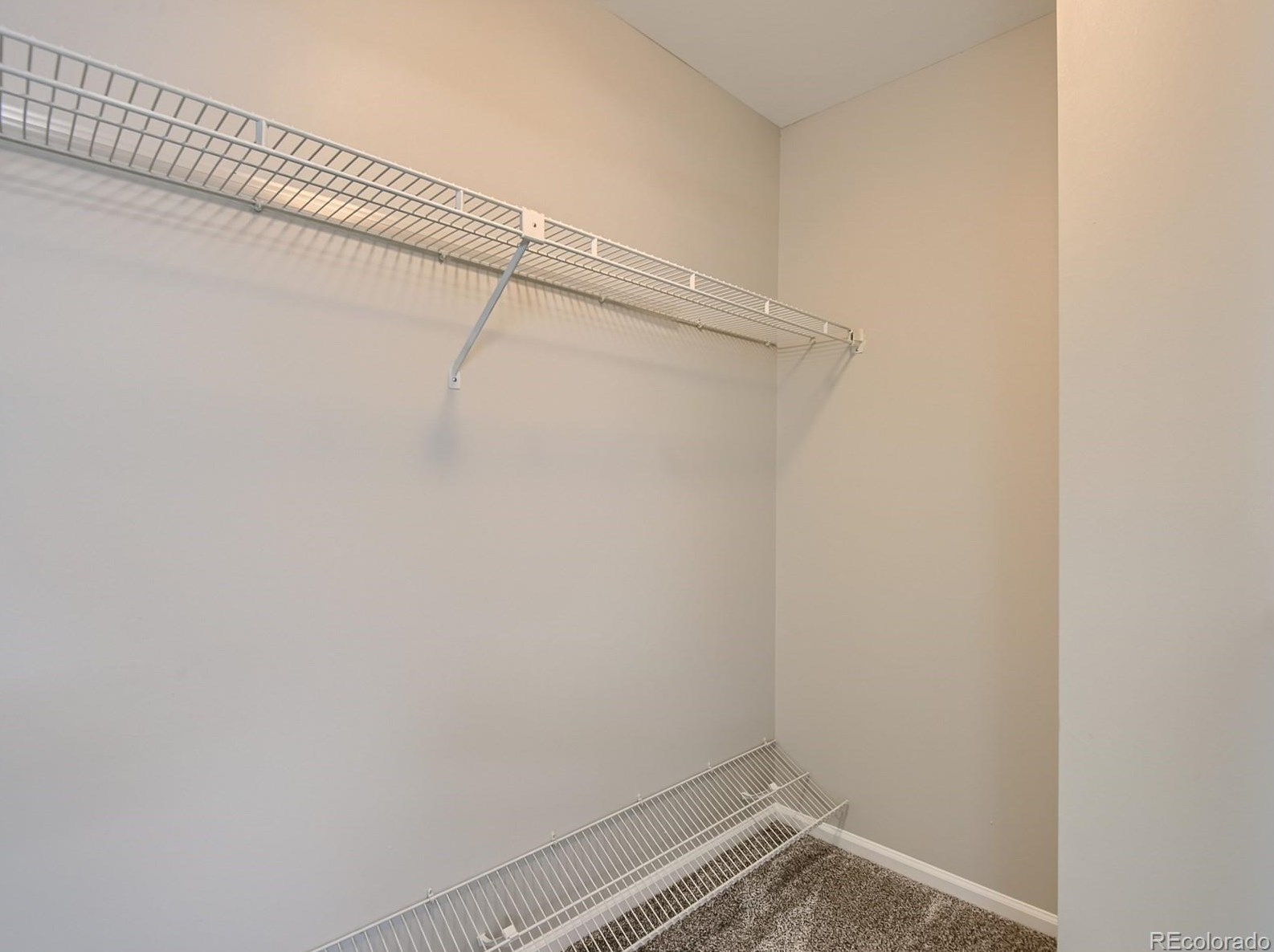 9151 Cactus Ct, Littleton CO  80124-3050 exterior