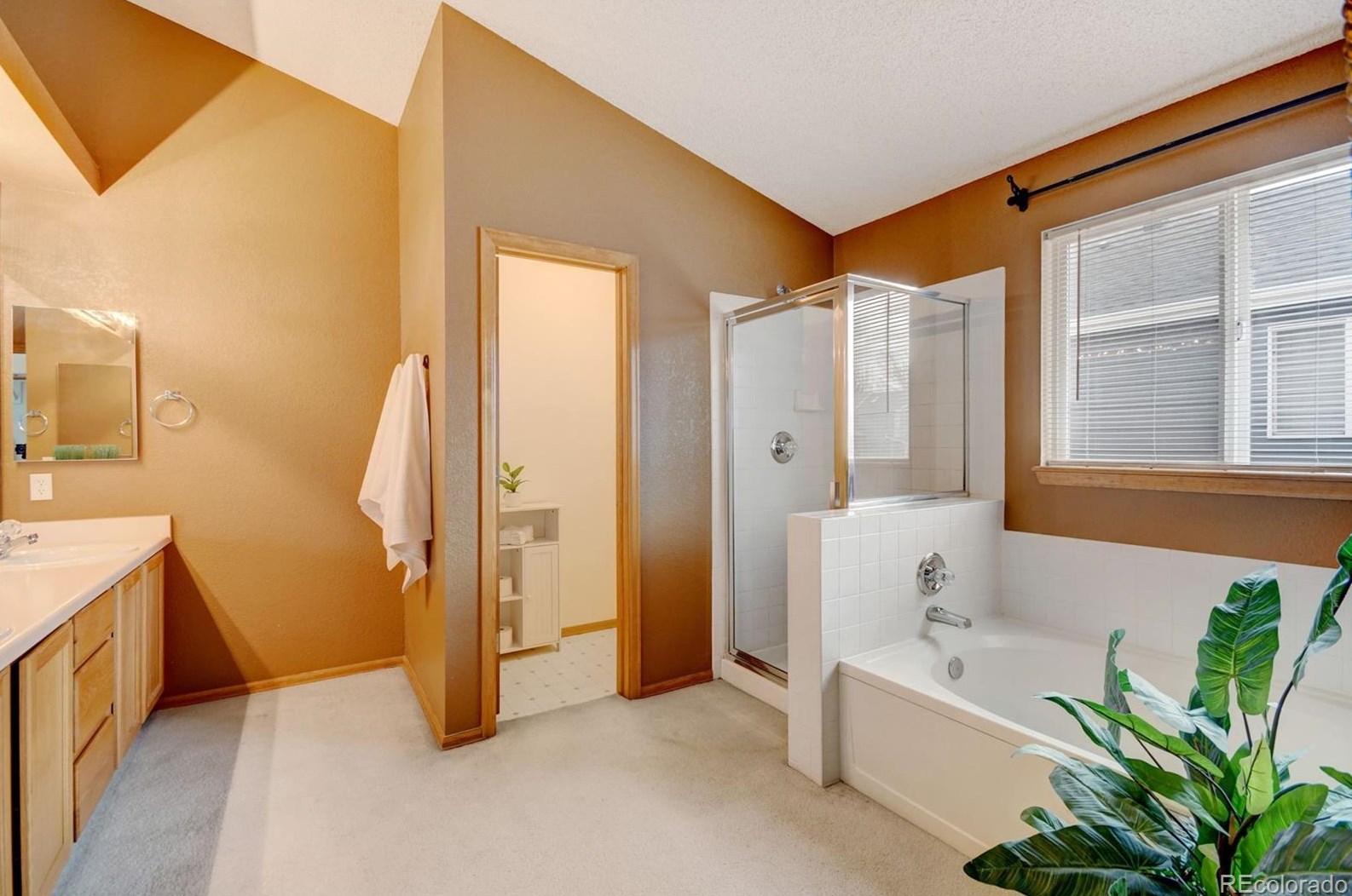 2337 Hyacinth Rd, Littleton CO 80129-4697 exterior