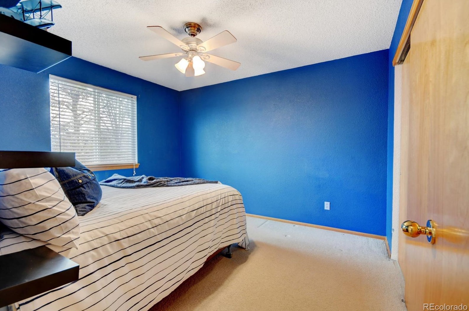 2337 Hyacinth Rd, Littleton CO 80129-4697 exterior