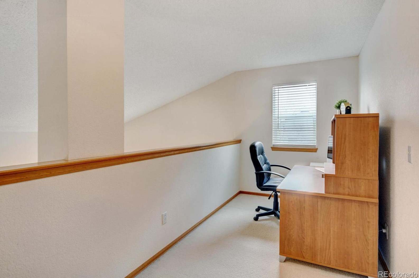 2337 Hyacinth Rd, Littleton CO 80129-4697 exterior