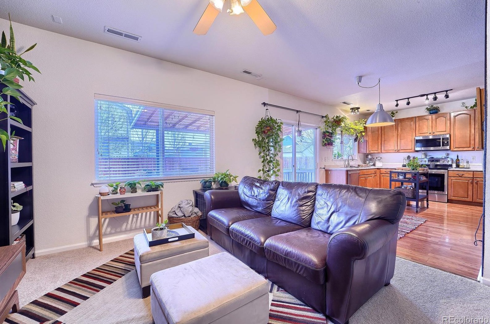 655 Elizabeth Street Cir, Erie, CO 80514-5020