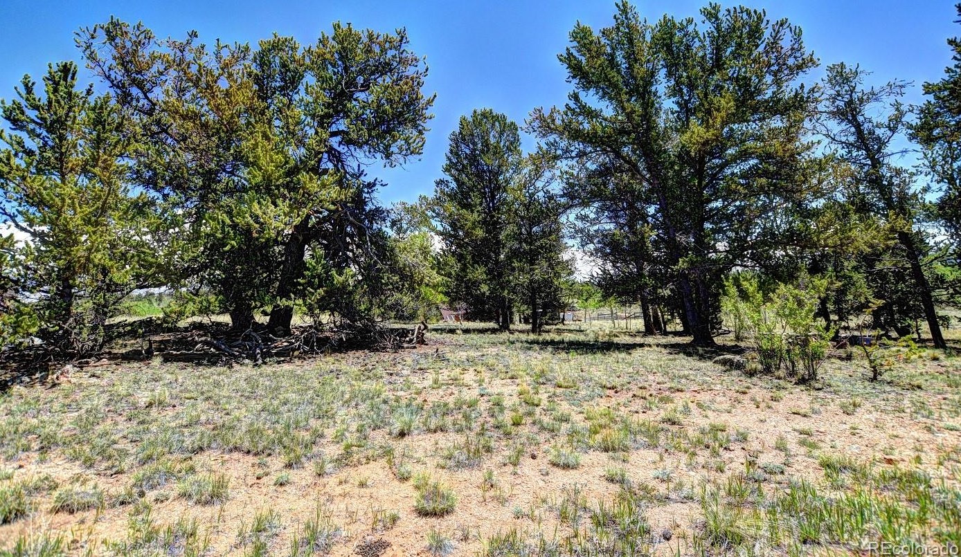 1478 Overland Cir, Fairplay, CO 80456