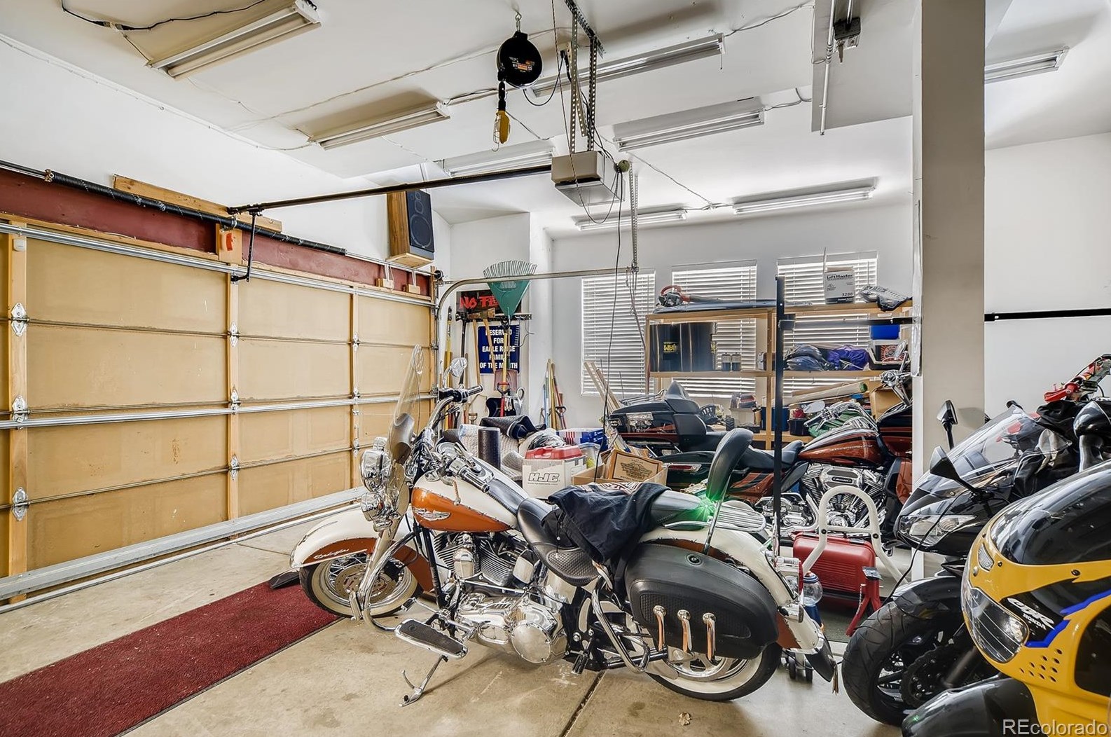 7125 Mtn Brush Cir, Littleton CO 80120 exterior