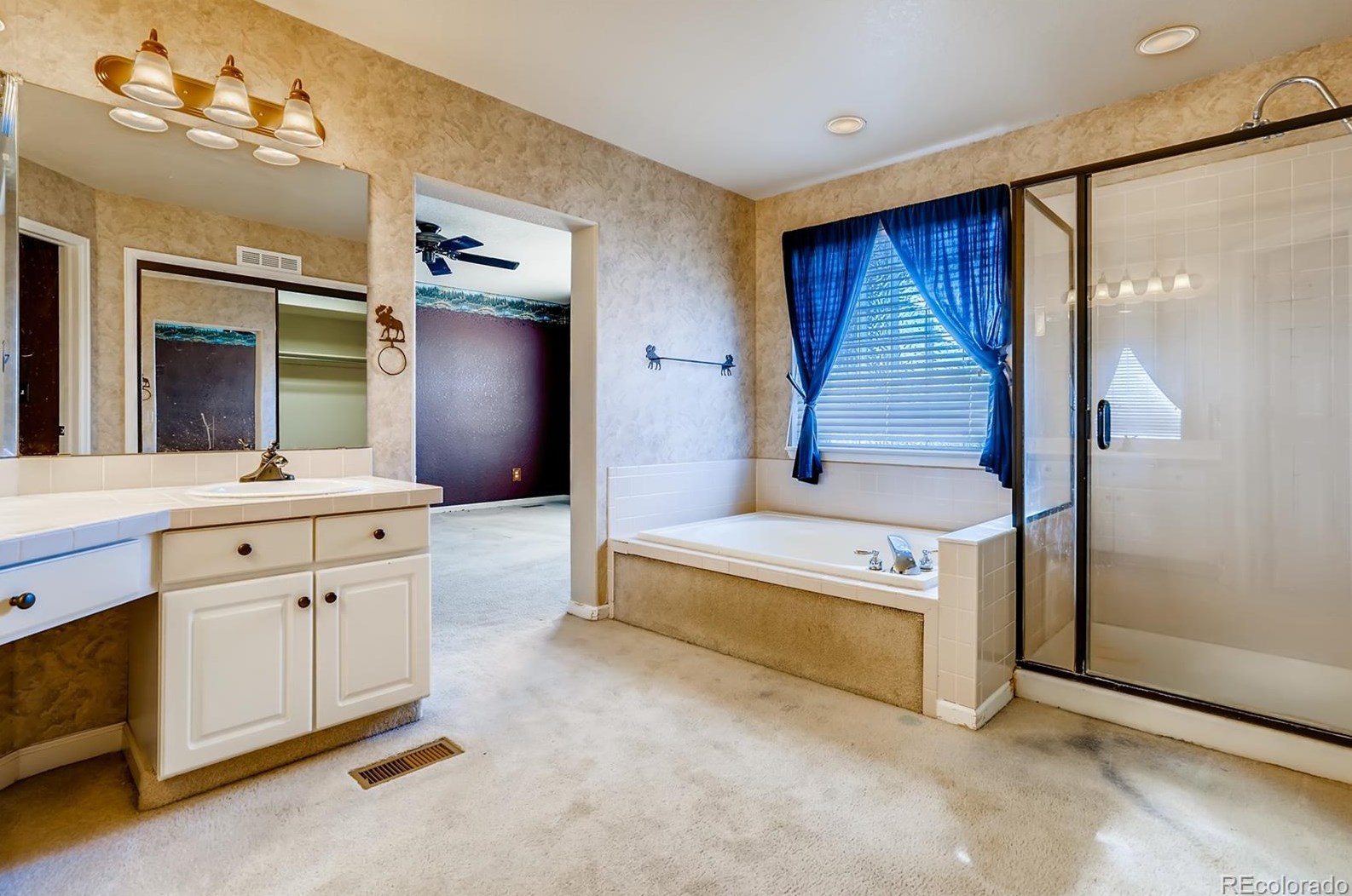 7125 Mtn Brush Cir, Littleton CO 80120 exterior