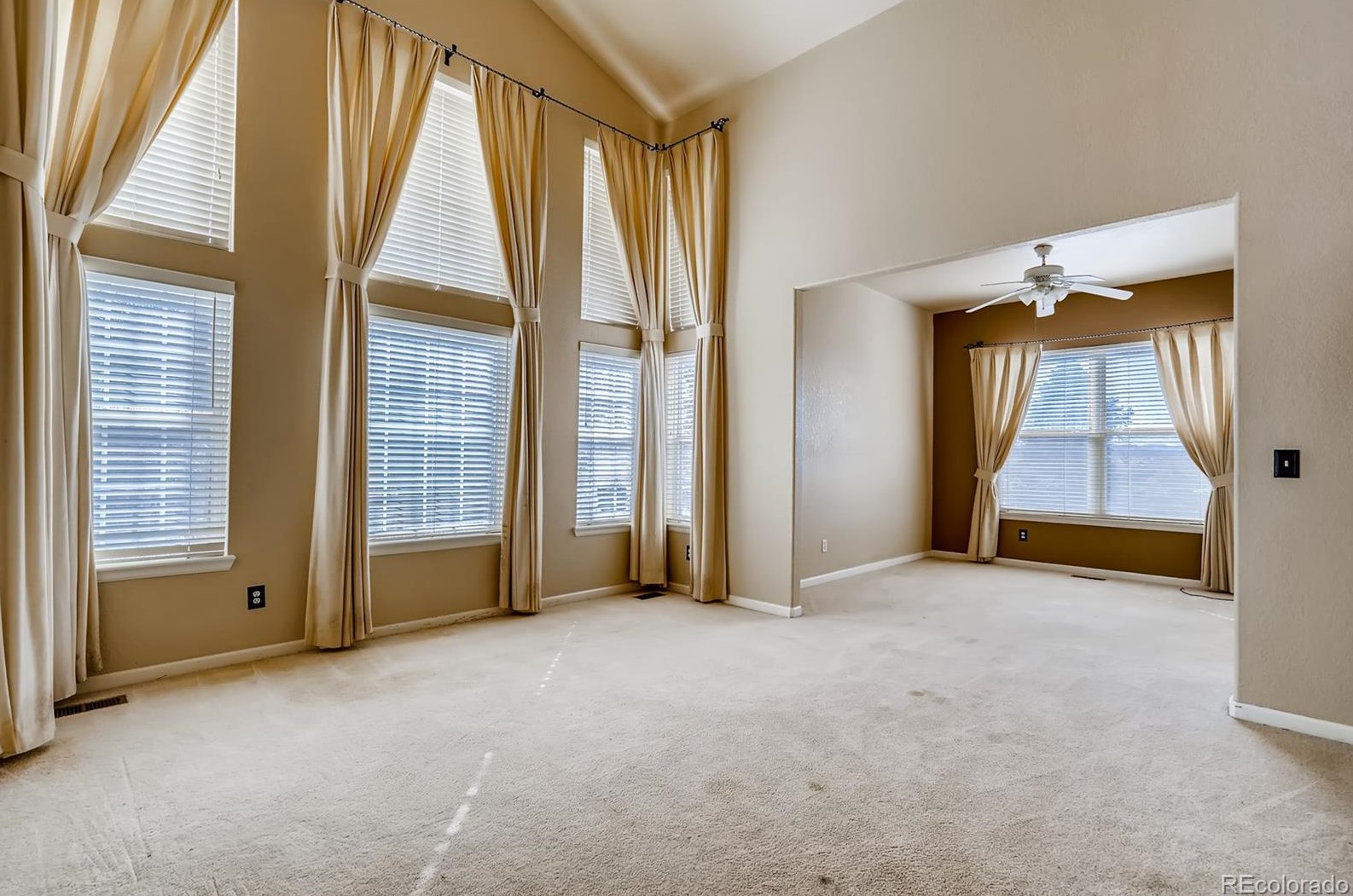 7125 Mtn Brush Cir, Littleton CO 80120 exterior