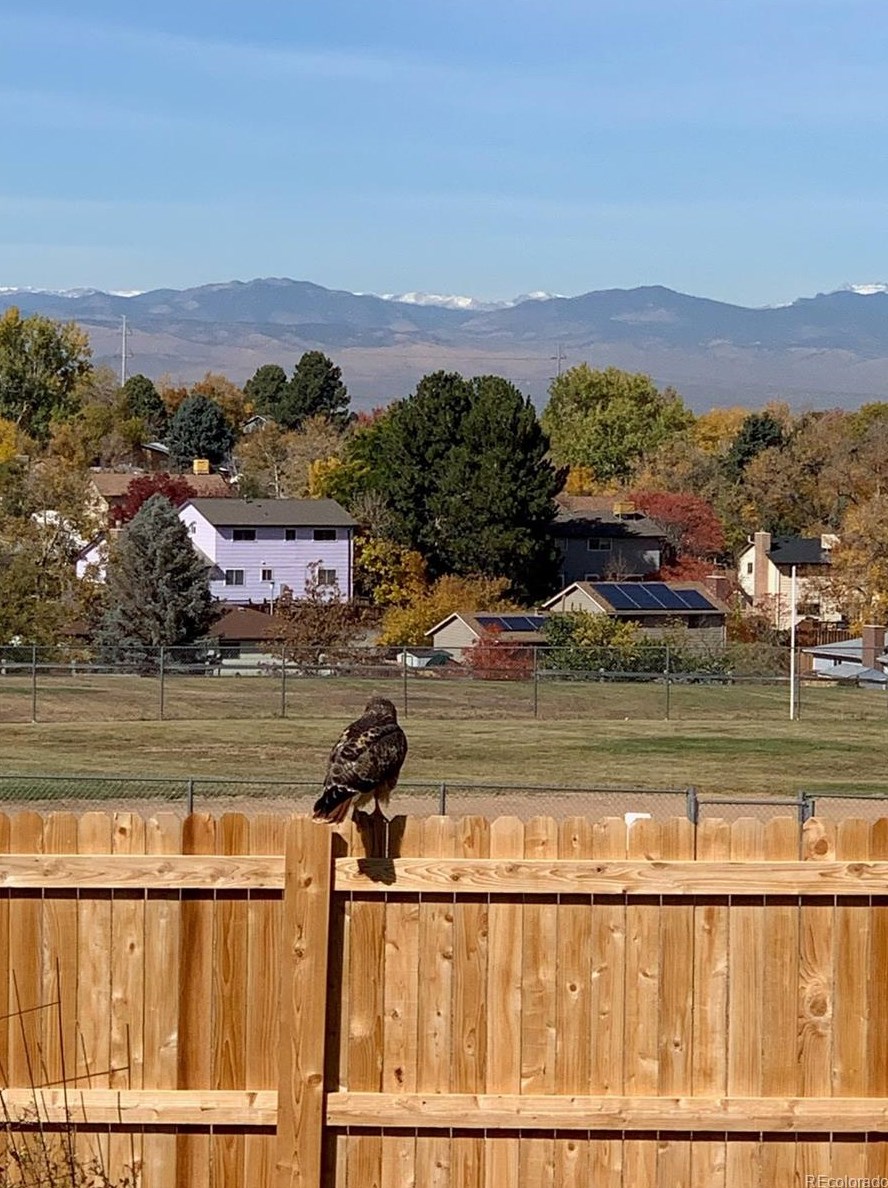 212 Helena Cir, Littleton CO 80124-2709 exterior