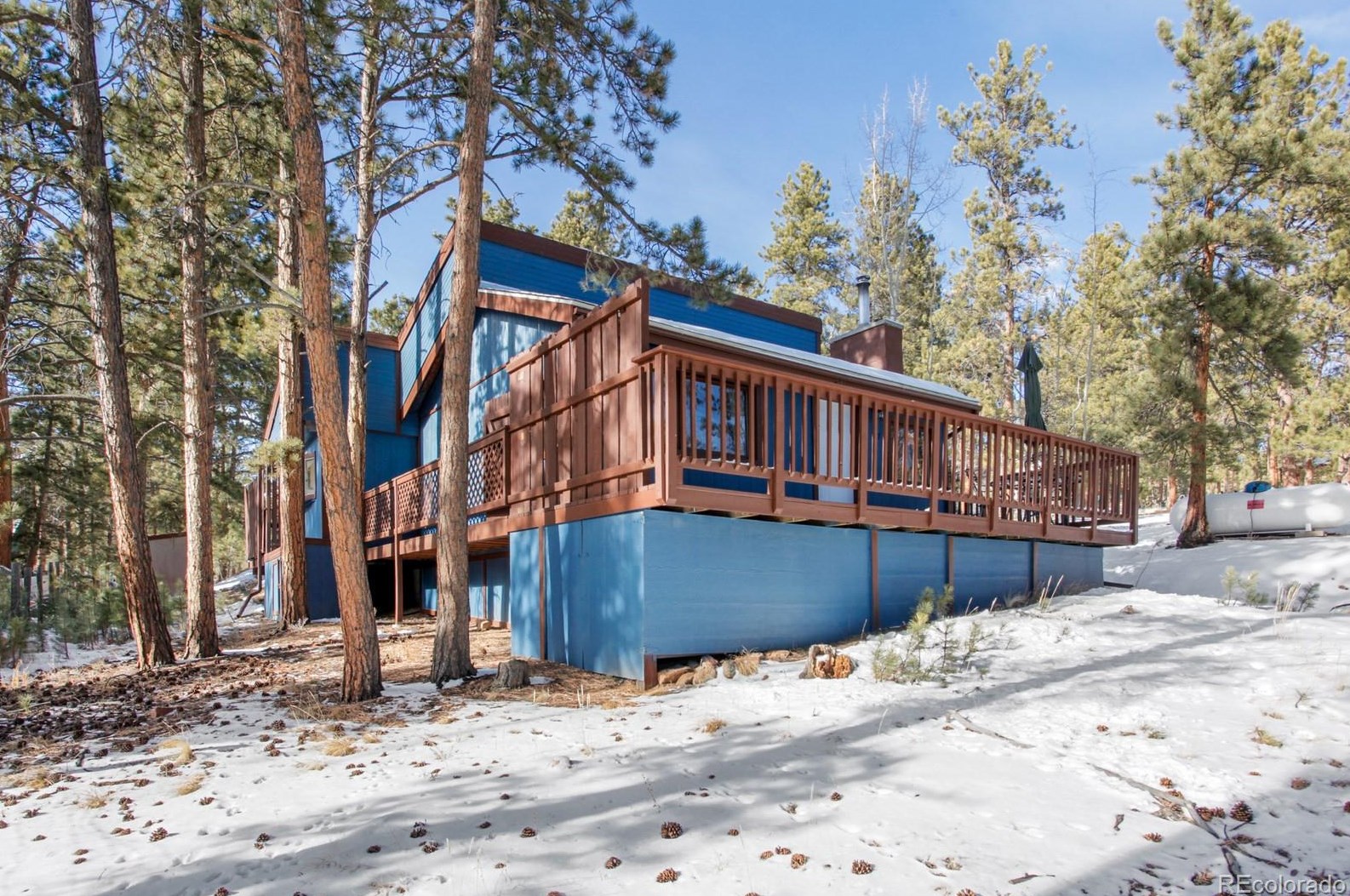 177 Gray St, Bailey, CO 80421-1541