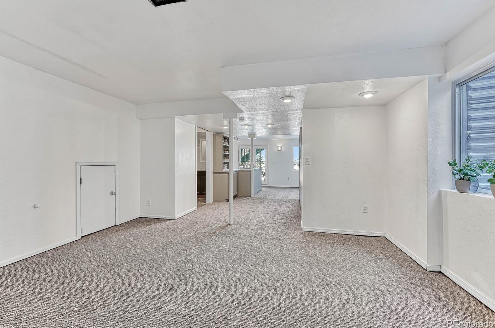 5297 Spruce Ave, Castle Rock CO  80104-8914 exterior