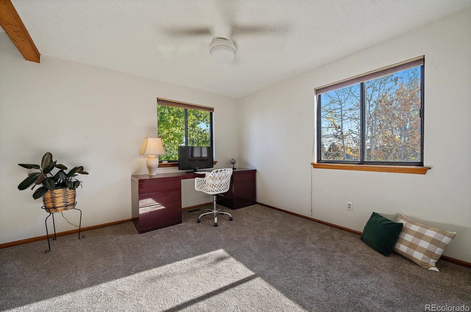 10514 85th Pl, Arvada CO  80005-4712 exterior