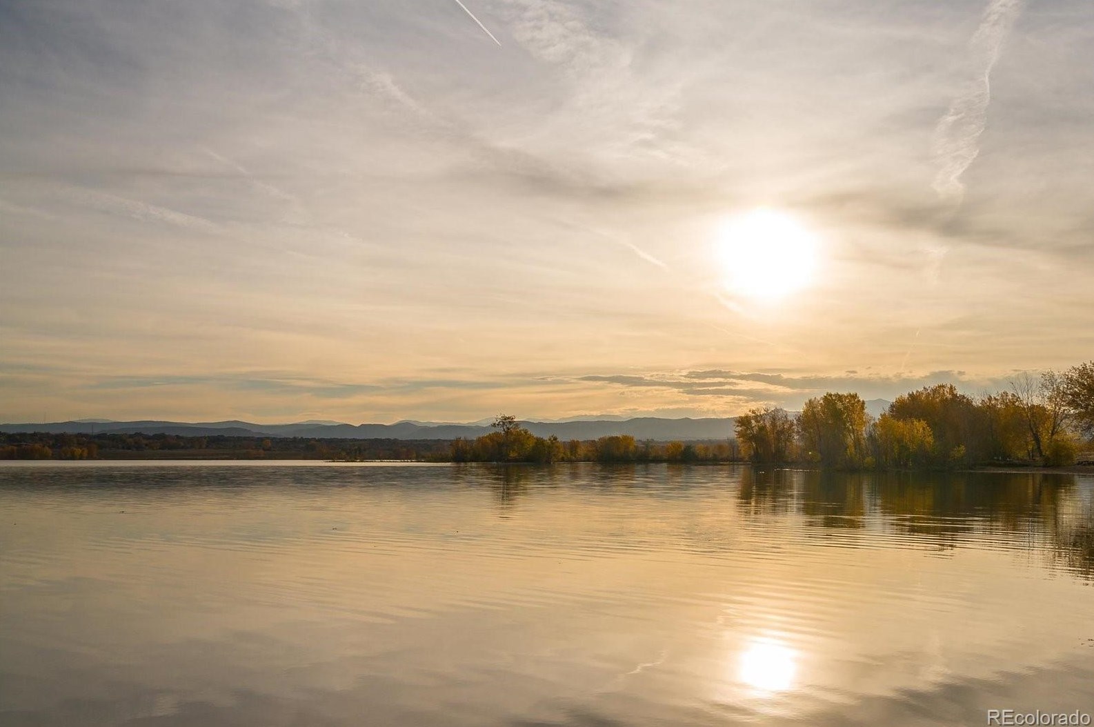 10514 85th Pl, Arvada CO  80005-4712 exterior