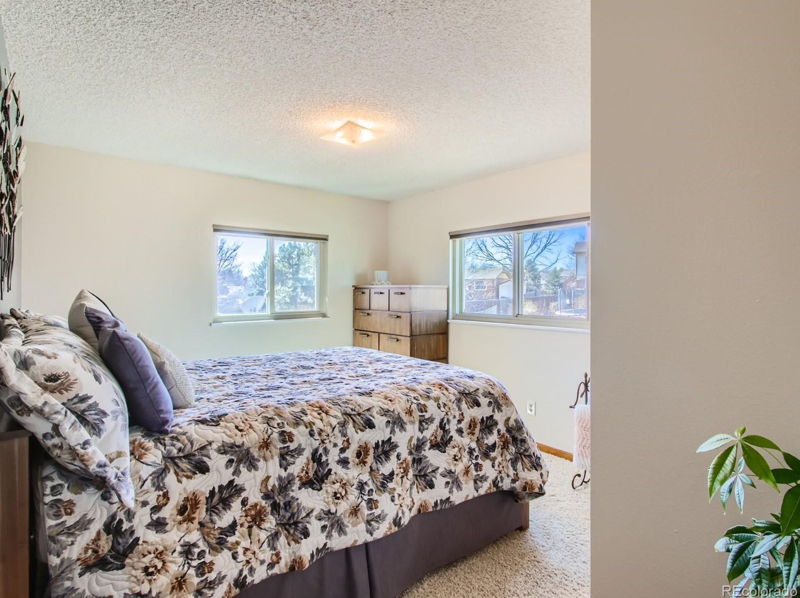 7361 Jay St, Arvada CO  80003-3235 exterior