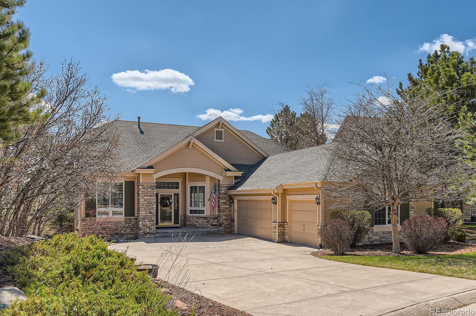 1050 Timbercrest Dr, Castle Rock, CO 80108-8265