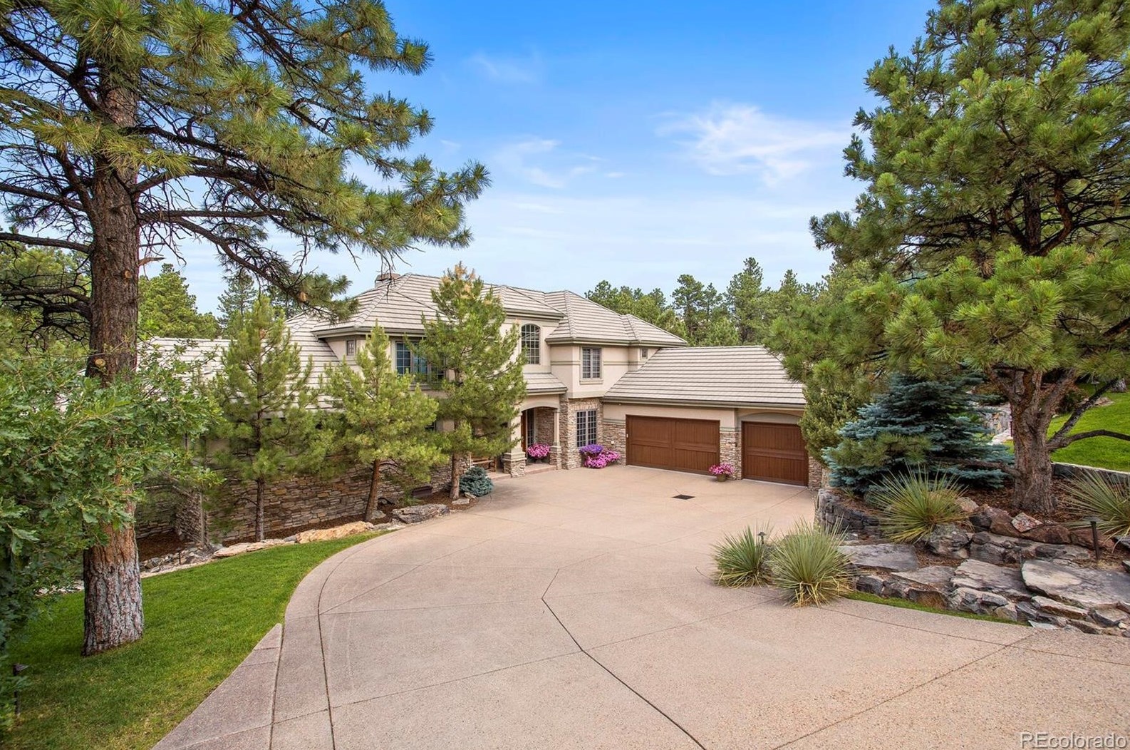 643 Ruby Trust Way, Castle Rock, CO 80108-8803